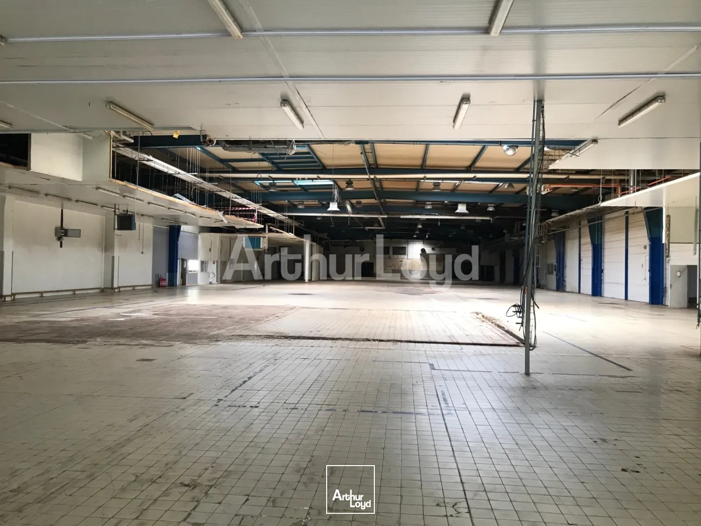 Locaux à vendre - 6000m2 - Maubeuge (59600)