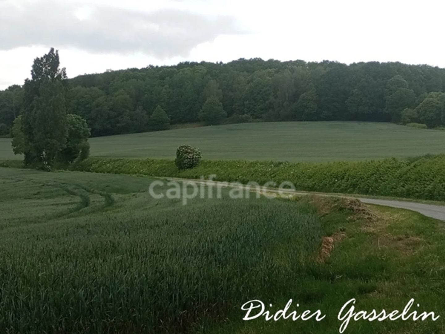 Terrain à vendre - 249400m2 - Perche En Nocé (61340)