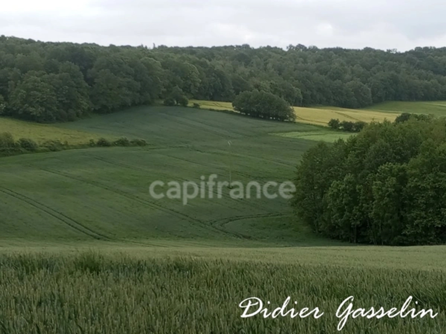 Terrain à vendre - 249400m2 - Perche En Nocé (61340)