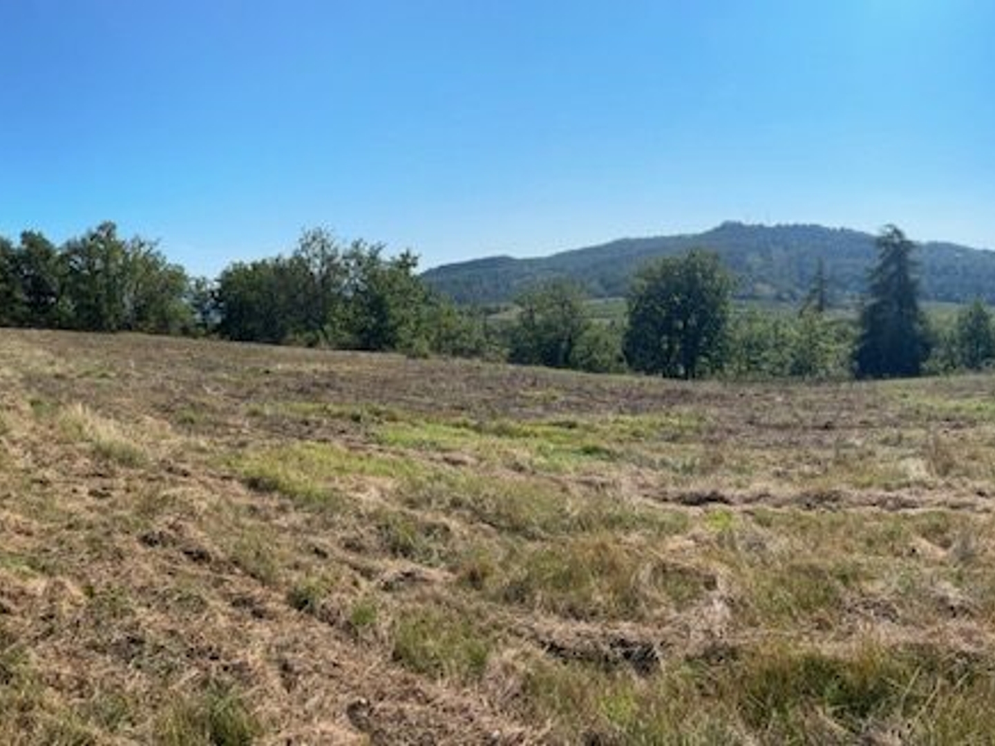 Terrain à vendre - 9592m2 - Antugnac (11190)