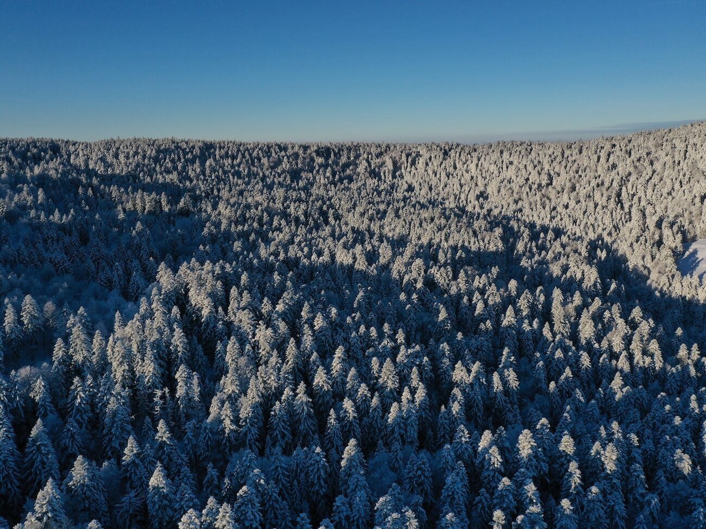 Terrain à vendre - La Bourboule (63150)