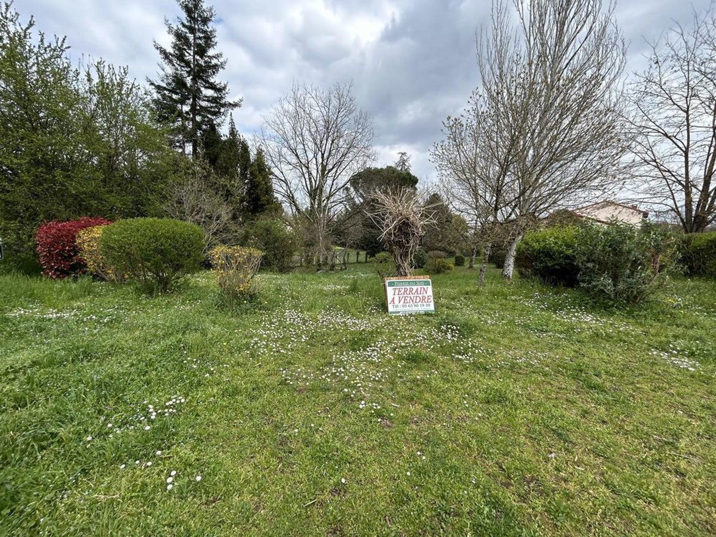 Terrain 805 m²