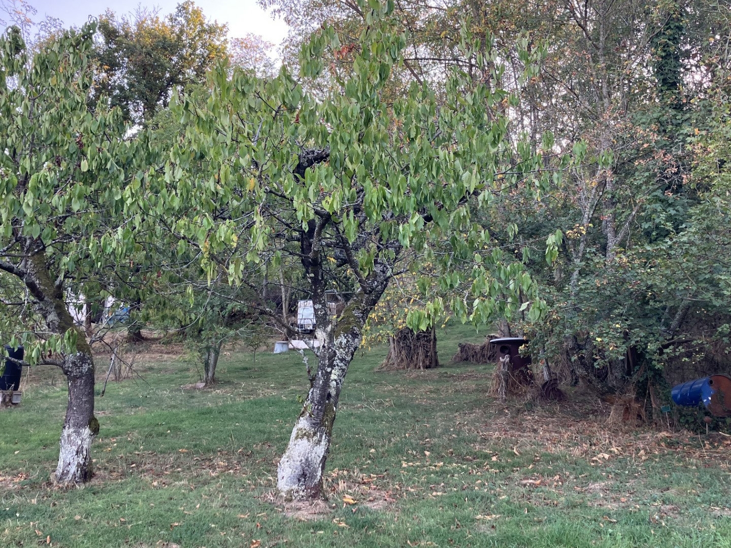 Terrain à bâtir