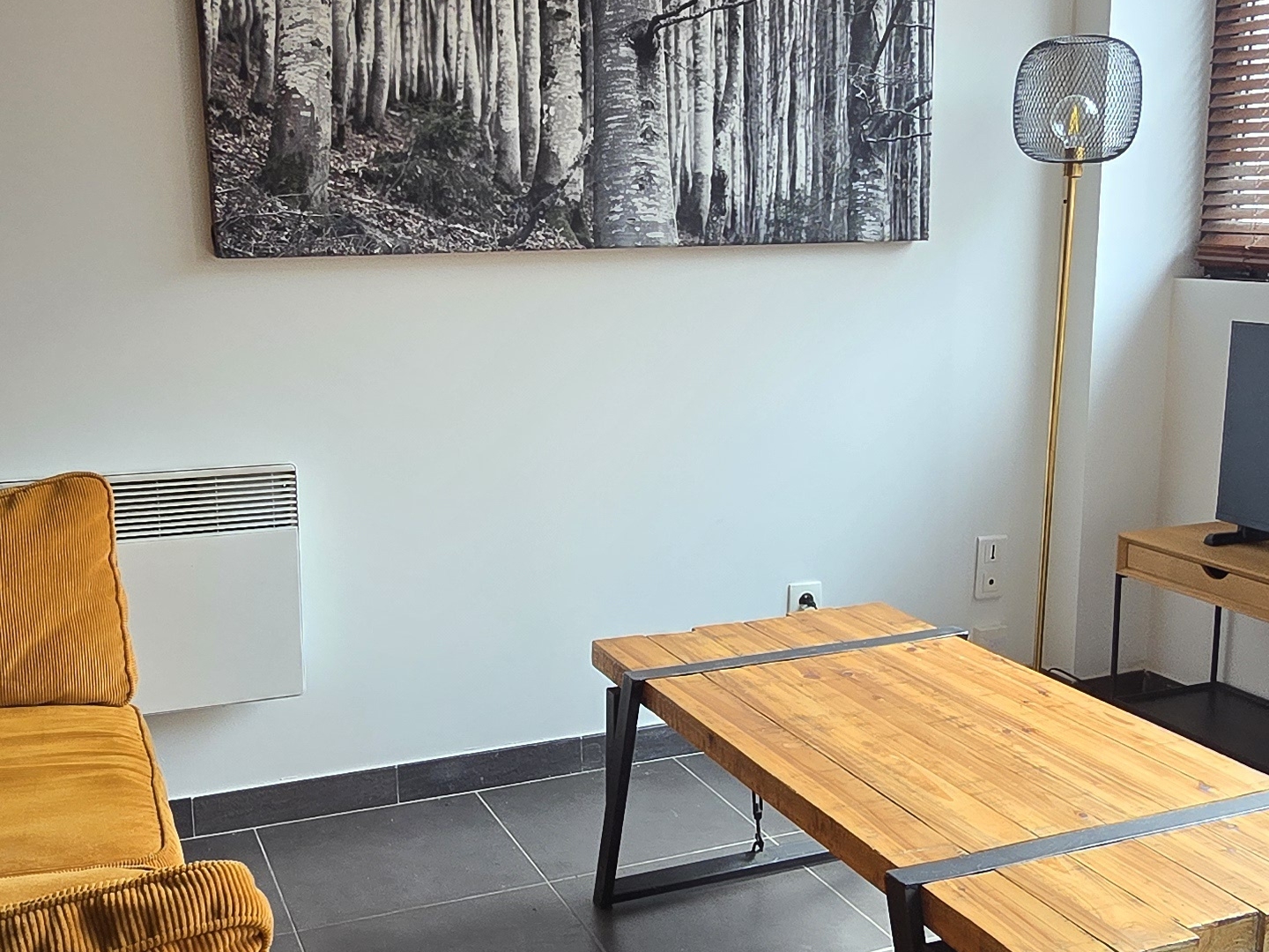 Appartement 3 pièces 50 m²