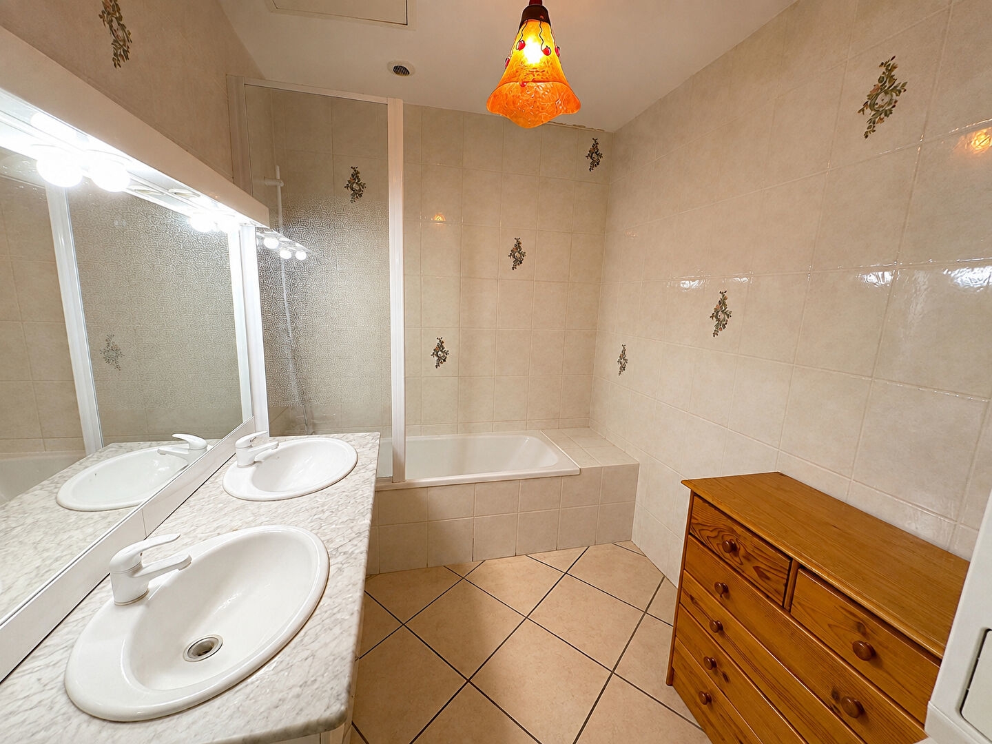 Appartement T3 avec vue Rhône