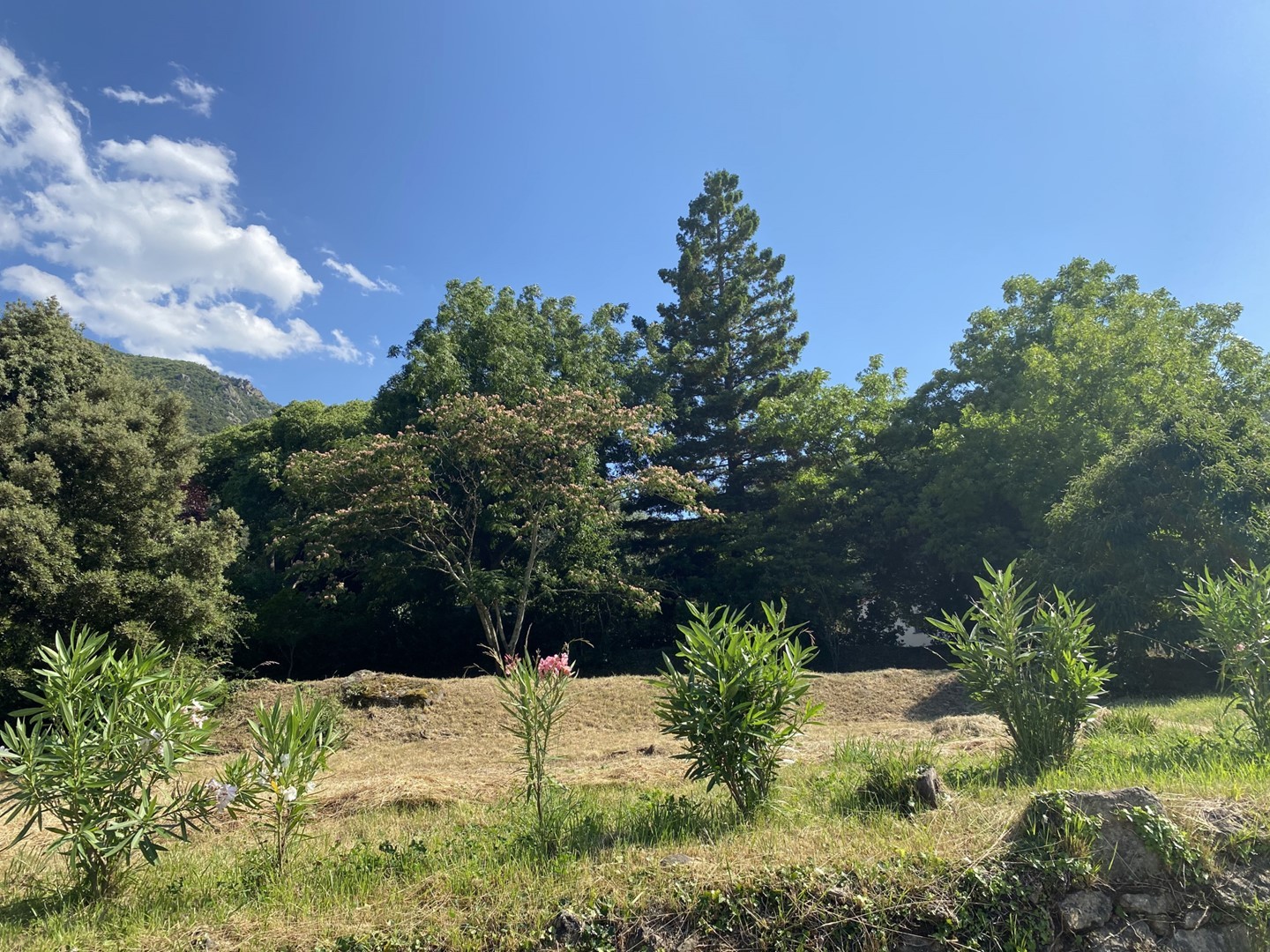 TERRAIN A BATIR A PARTIR DE 49 000€ ET JUSQU'A 583 m2