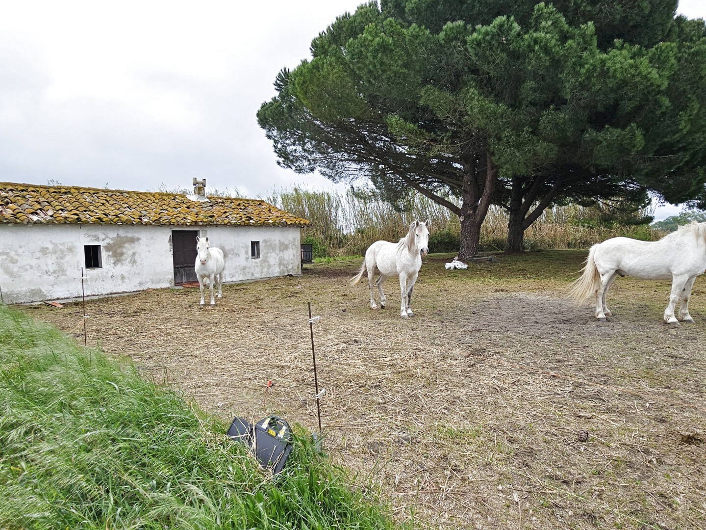 Mazet avec terres agricoles MONTCALM VAUVERT