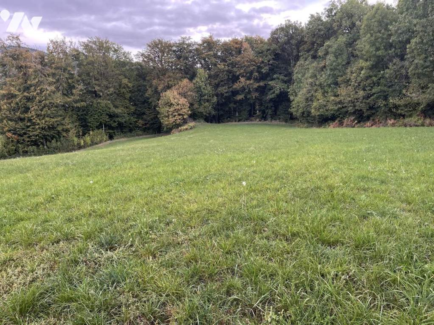 Terrain à vendre - 1169m2 - Polminhac (15800)