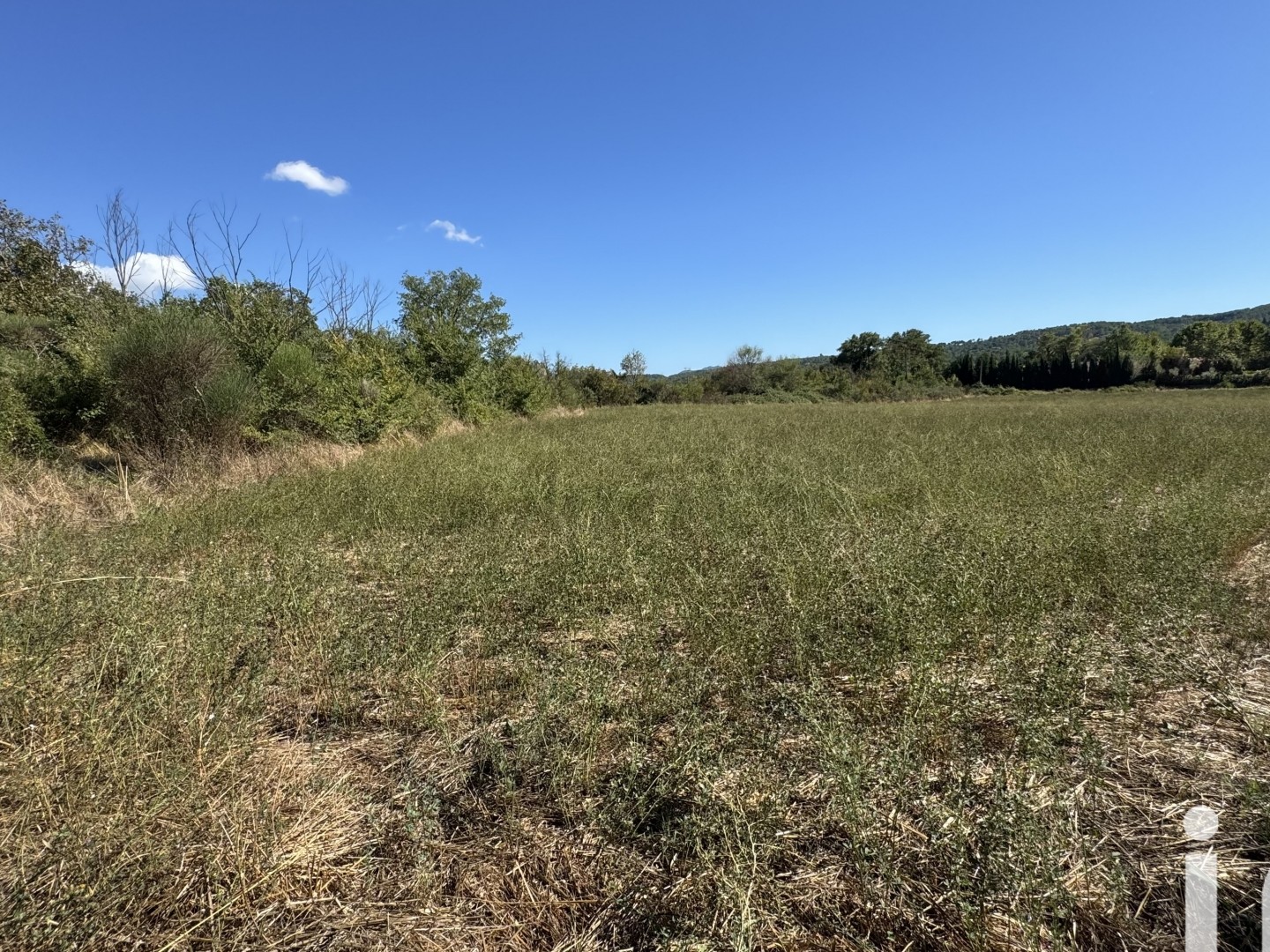 Terrain 10260 m²