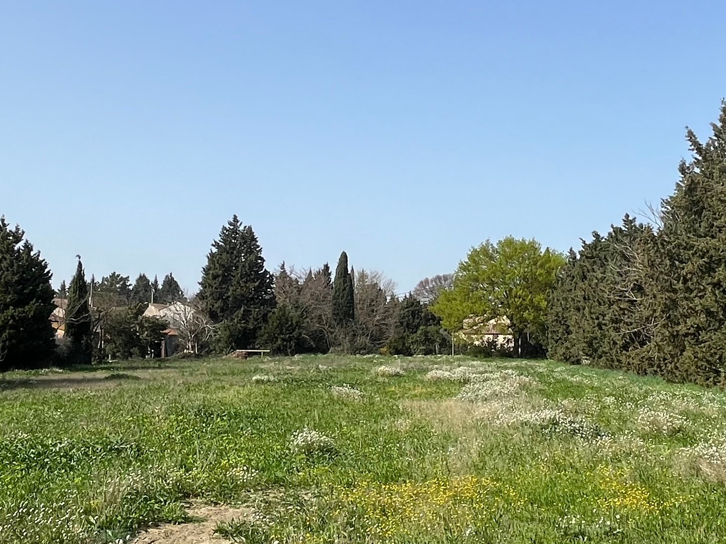 Terrain constructible, Bel emplacement à Avignon