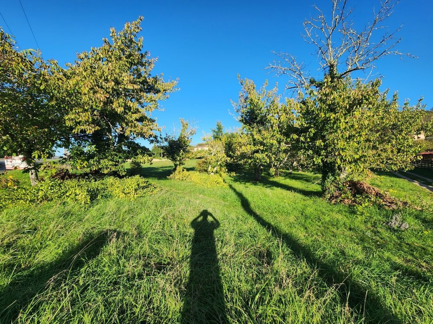 Terrain à bâtir de 1628m²