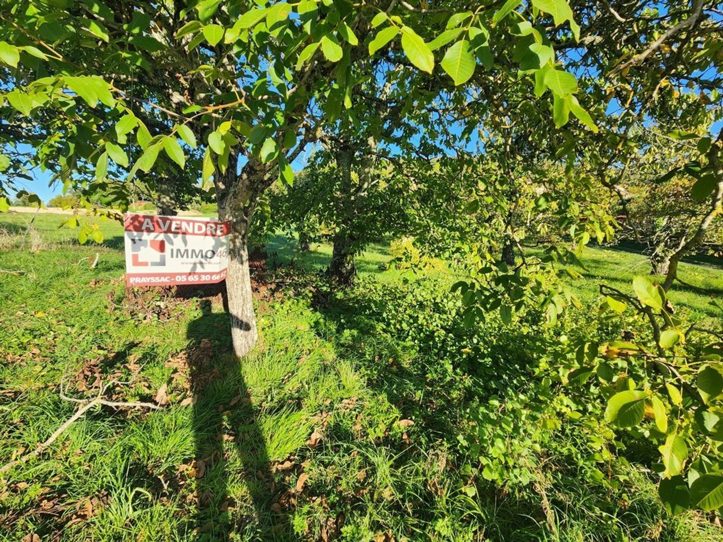 Terrain à vendre - 1628m2 - Luzech (46140)