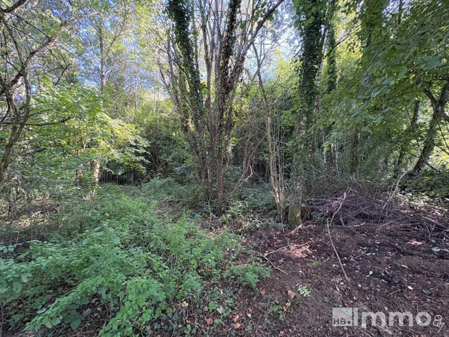 Terrain 1288 m²