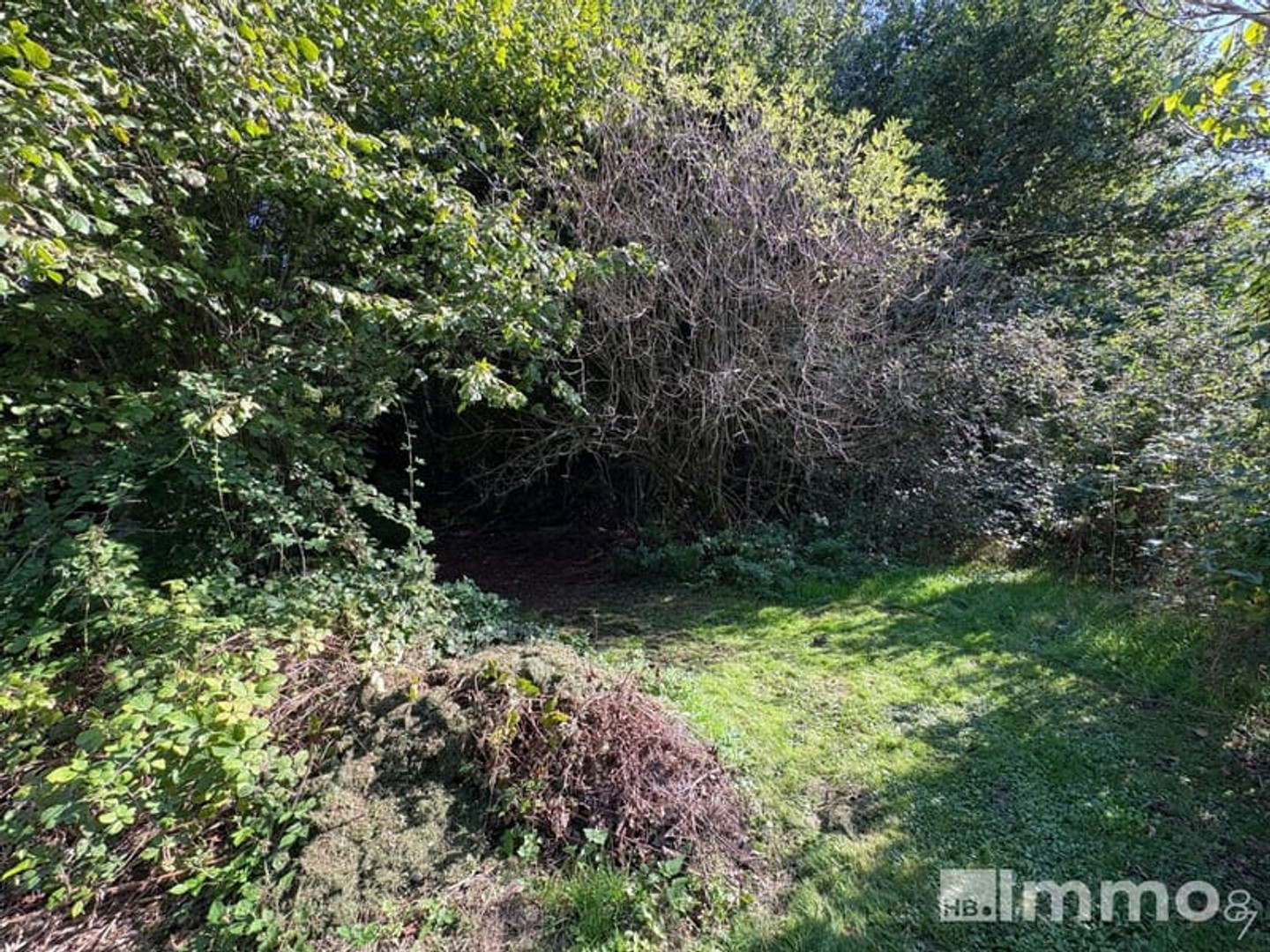 Terrain à vendre - 1288m2 - Nantiat (87140)