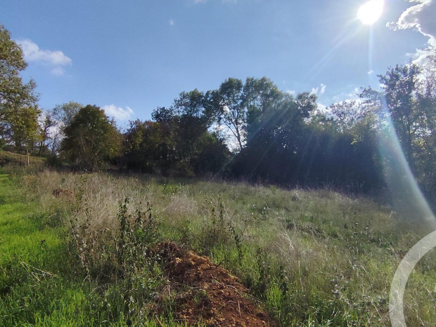 Terrain à vendre - 3162m2 - Montgivray (36400)