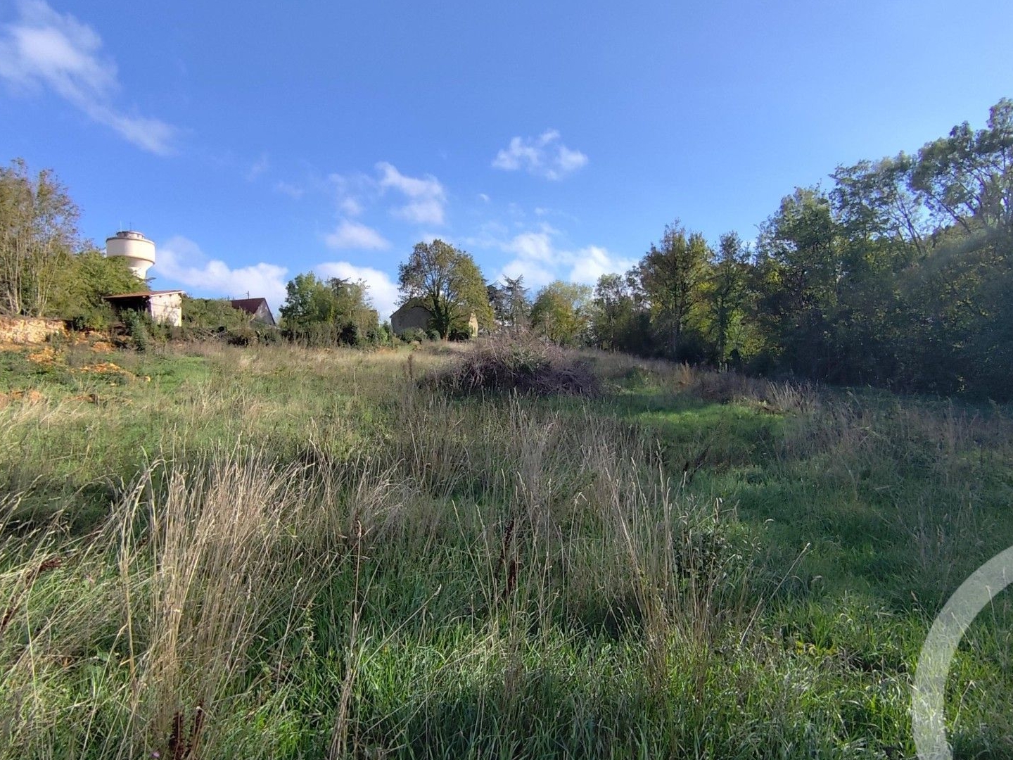 Terrain à vendre - 3162m2 - Montgivray (36400)