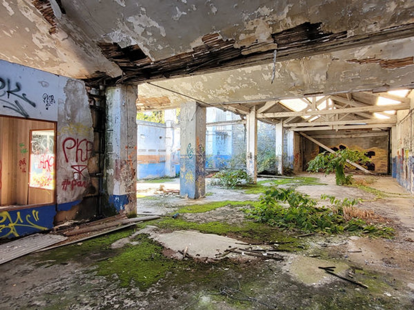 Terrain Tènement immobilier