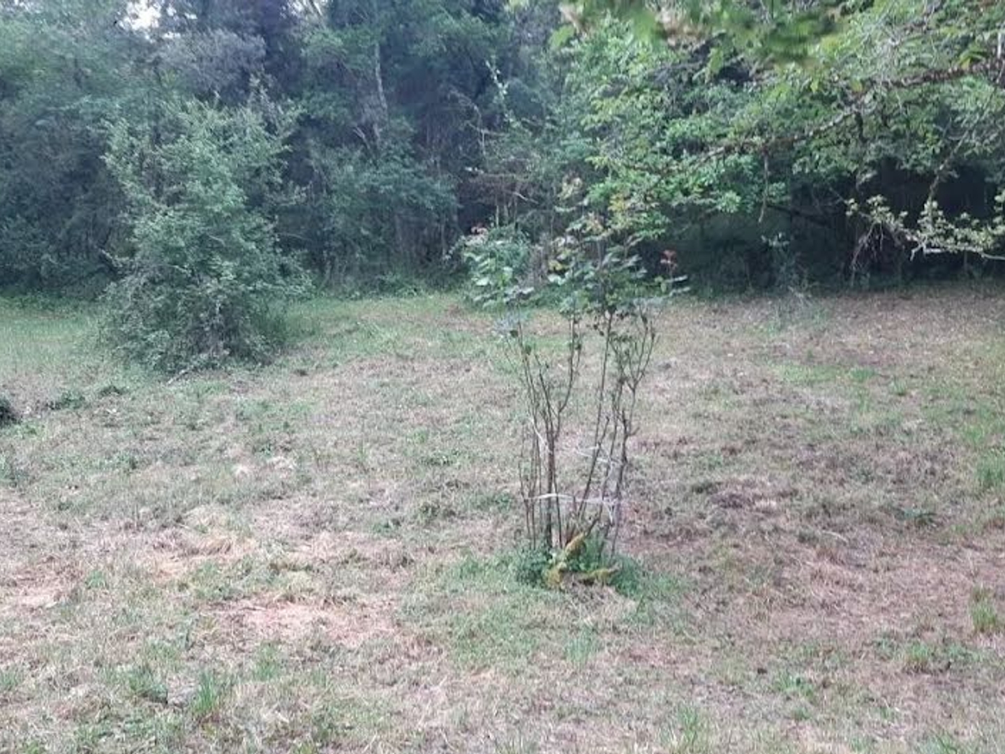 Maison à vendre - 80m2 - Val De Lambronne (11230)