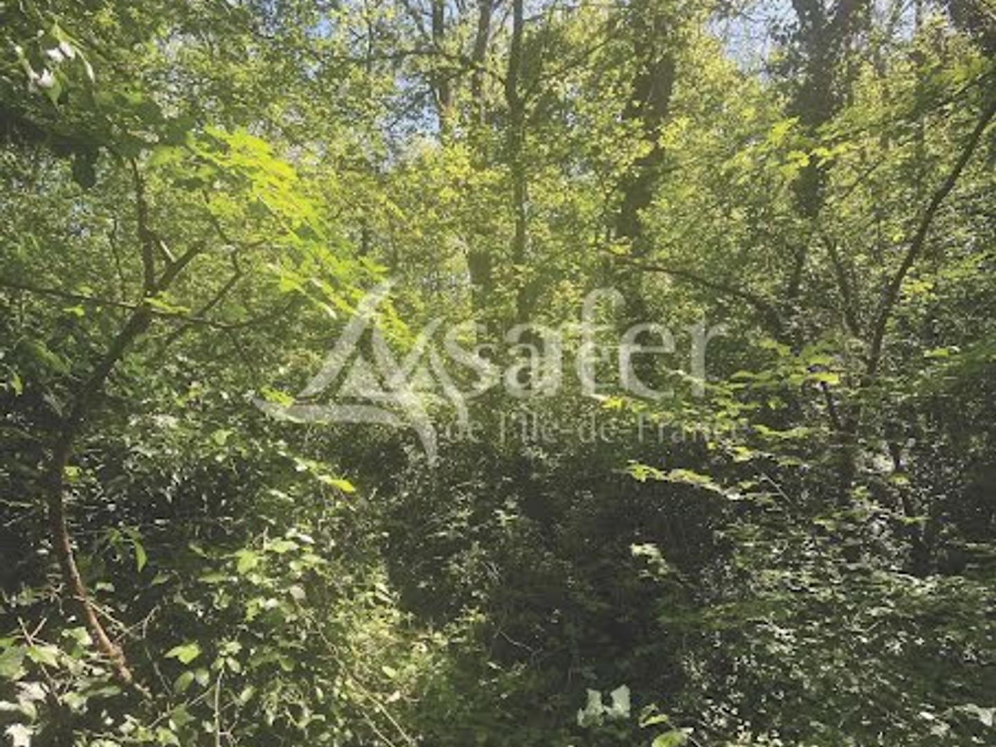 Terrain 110000 m²