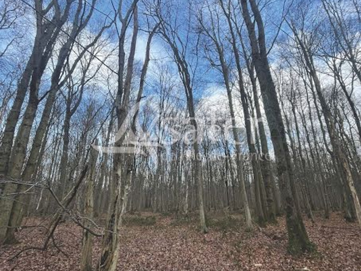 Terrain à vendre - 110000m2 - Réau (77550)