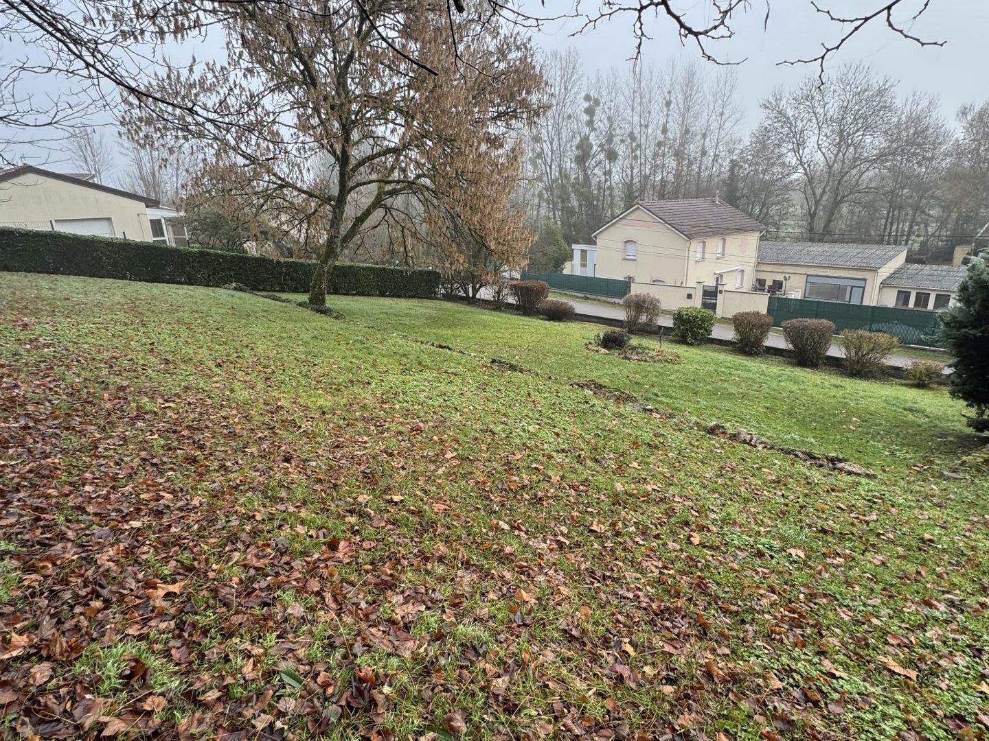 Terrain 983 m²