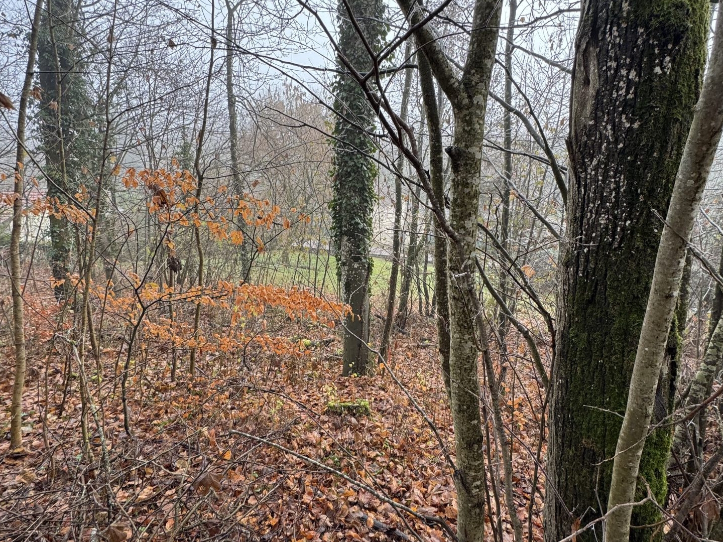 Terrain à vendre - 983m2 - Lunéville (54300)