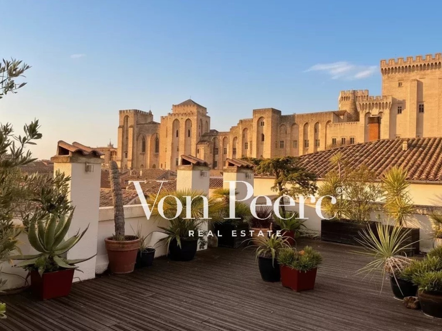 Appartement avec terrasse exceptionnelle - Vue Palais des Papes & Mont Ventoux