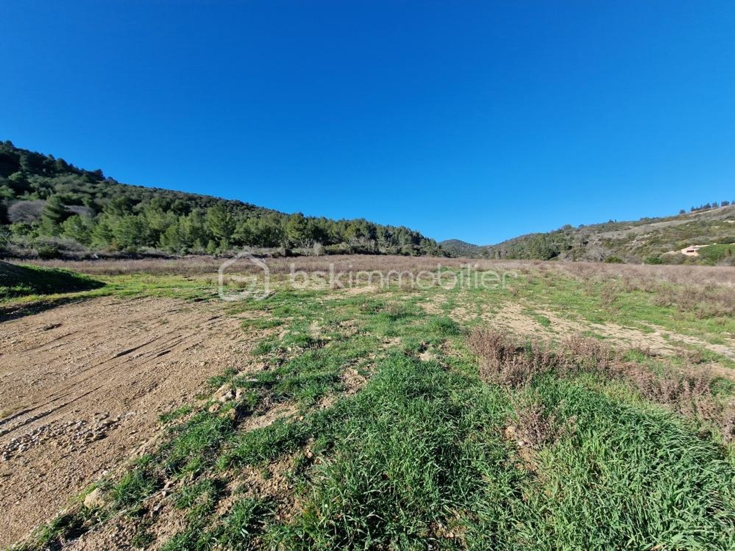 Terrain à vendre - 3160m2 - Embres-Et-Castelm... (11360)