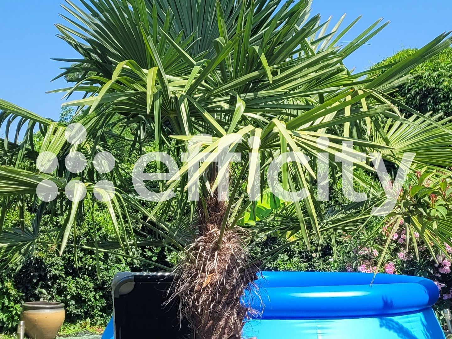 Appartement à vendre - 4 pièces - 108m2 - Chazay-D'azergues (69380)