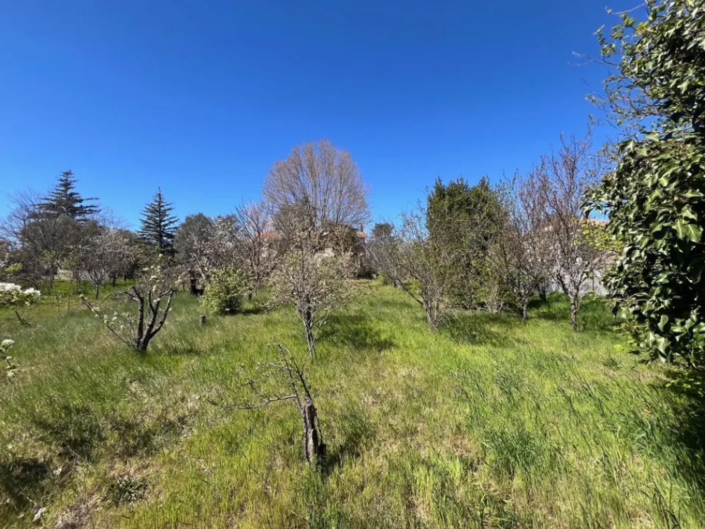 Terrain 205 m²