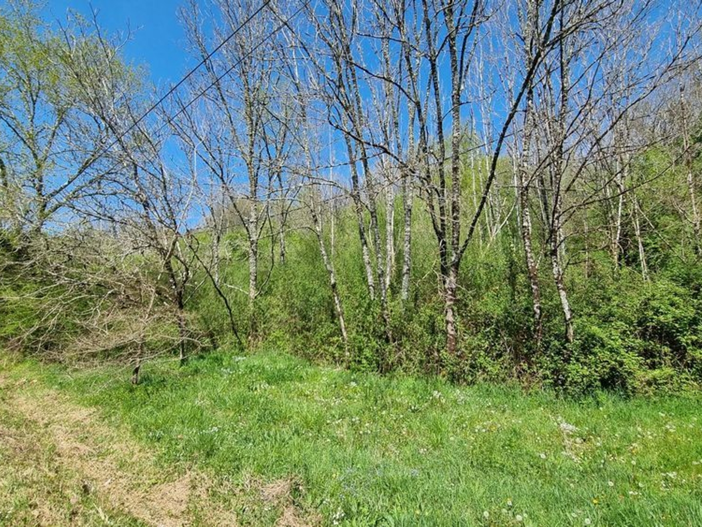 Terrain à vendre - 14490m2 - Saint-Martial-De-... (24300)