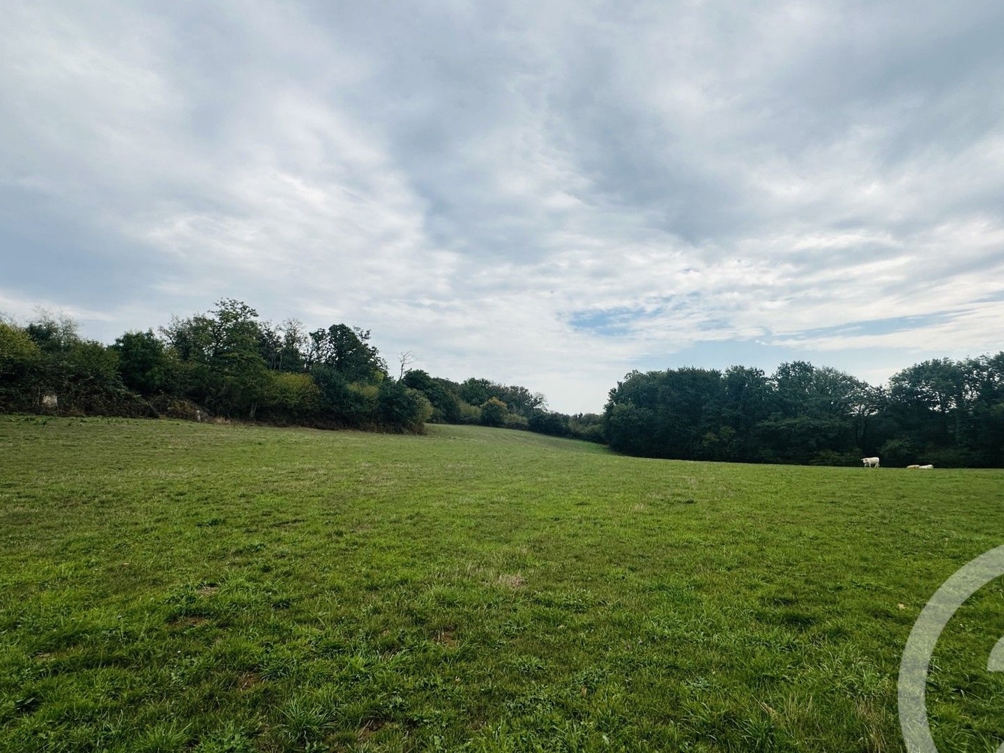 Terrain à vendre - 50066m2 - Putanges-Le-Lac (61210)