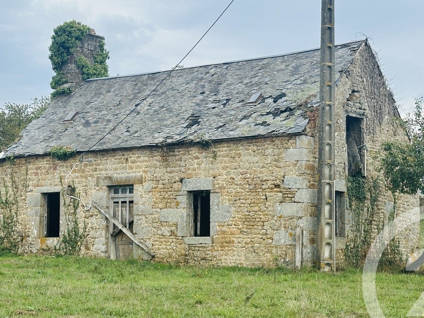 Terrain à vendre - 50066m2 - Putanges-Le-Lac (61210)