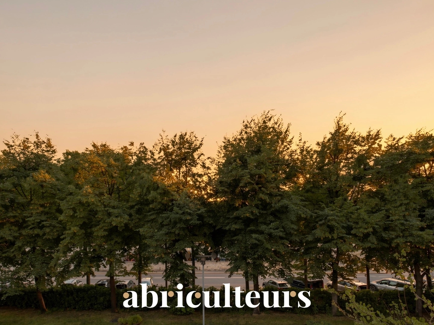 Appartement à vendre - 3 pièces - 55m2 - Paris 13e (75013)