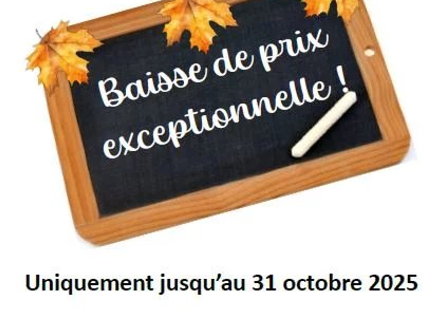 RESIDENCE LIVREE - CENTRE VILLE