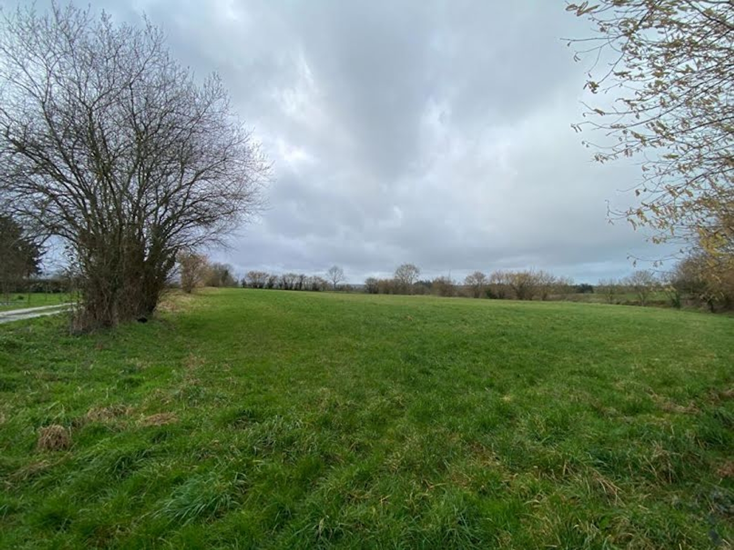 Terrain 6410 m²