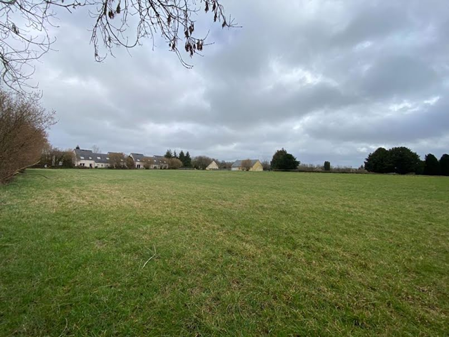 Terrain à vendre - 6410m2 - Torigny-Les-Villes (50160)
