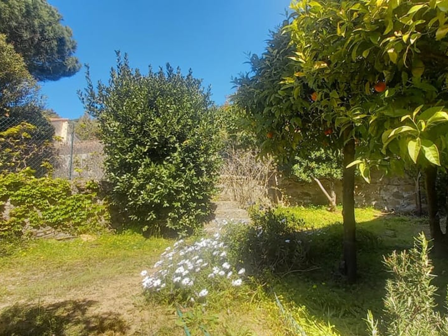 Maison de ville avec jardin - Au calme et 4 mn à pieds du coeur du Lavandou