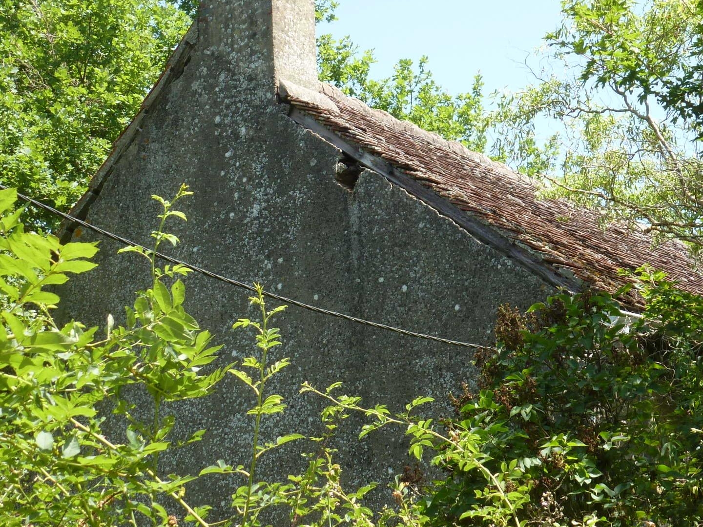 Maison à vendre - 2 pièces - 50m2 - Saints-En-Puisaye (89520)
