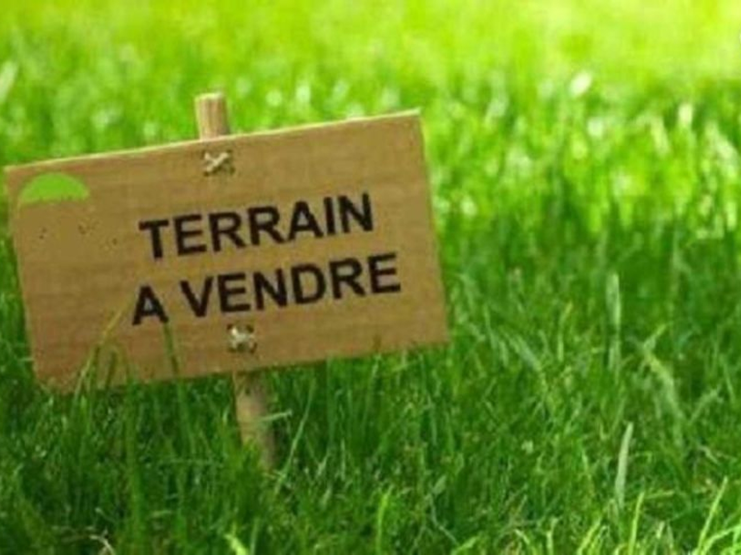 Terrain à vendre - 1000m2 - Fors (79230)