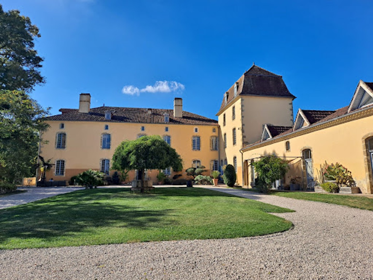 Maison à vendre - 35 pièces - 1600m2 - Vic-Fezensac (32190)