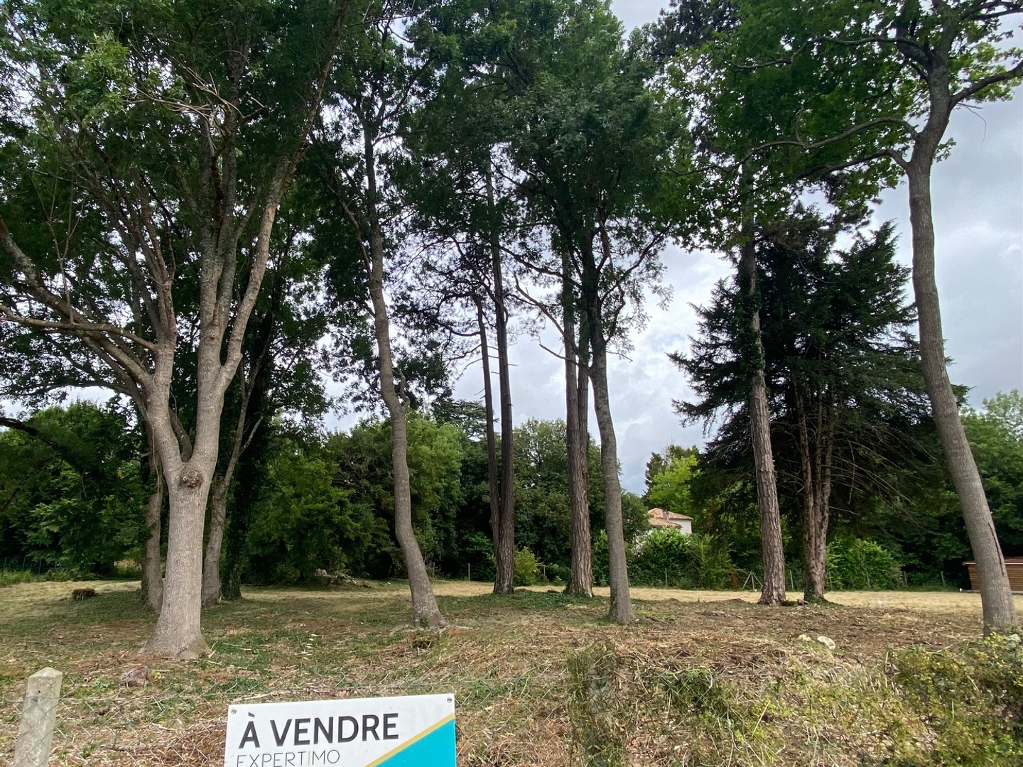 Terrain à vendre - 3531m2 - Jonzac (17500)