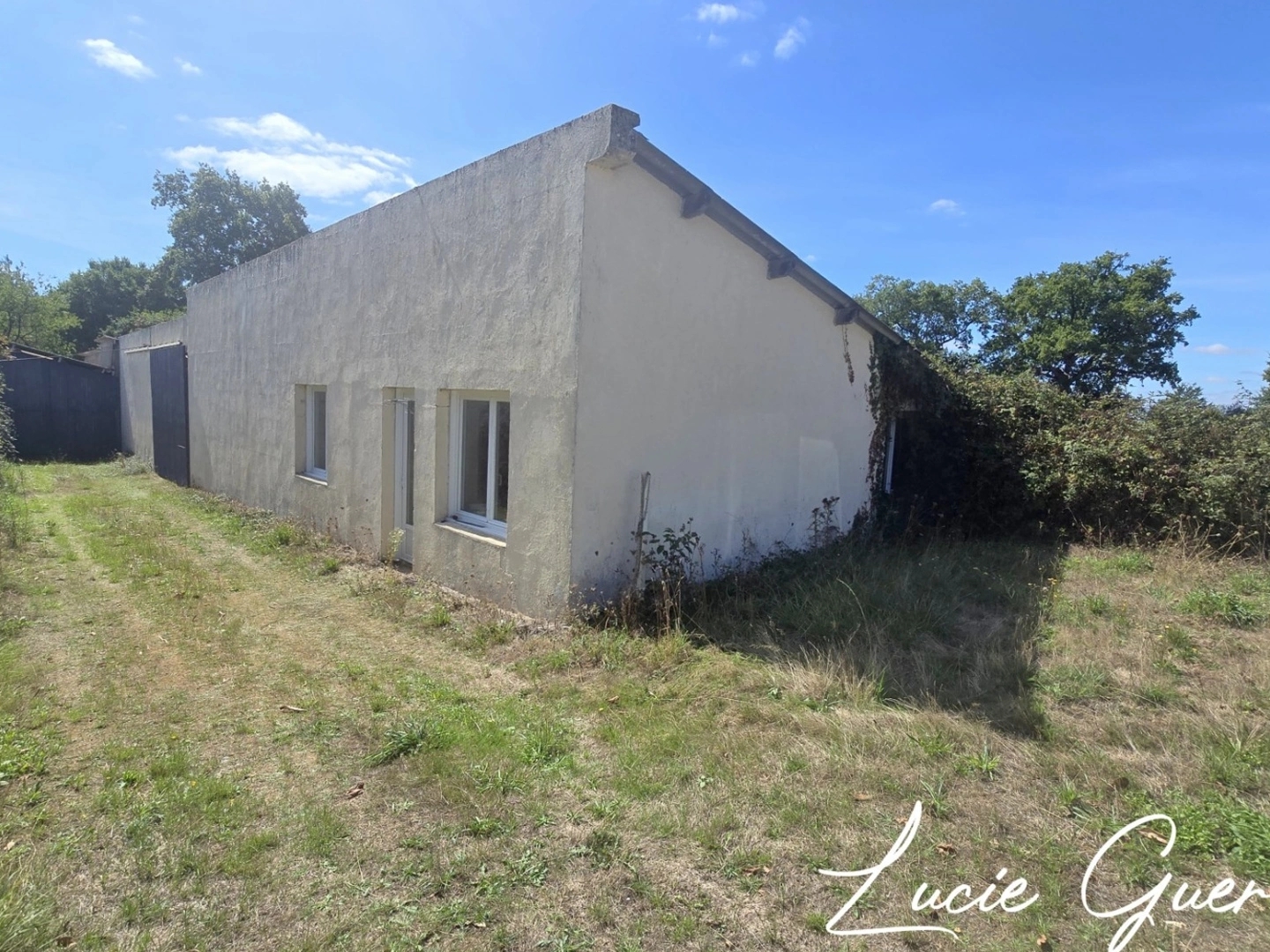 Magasin à vendre - 1 pièce - 703m2 - Martigné-Ferchaud (35640)