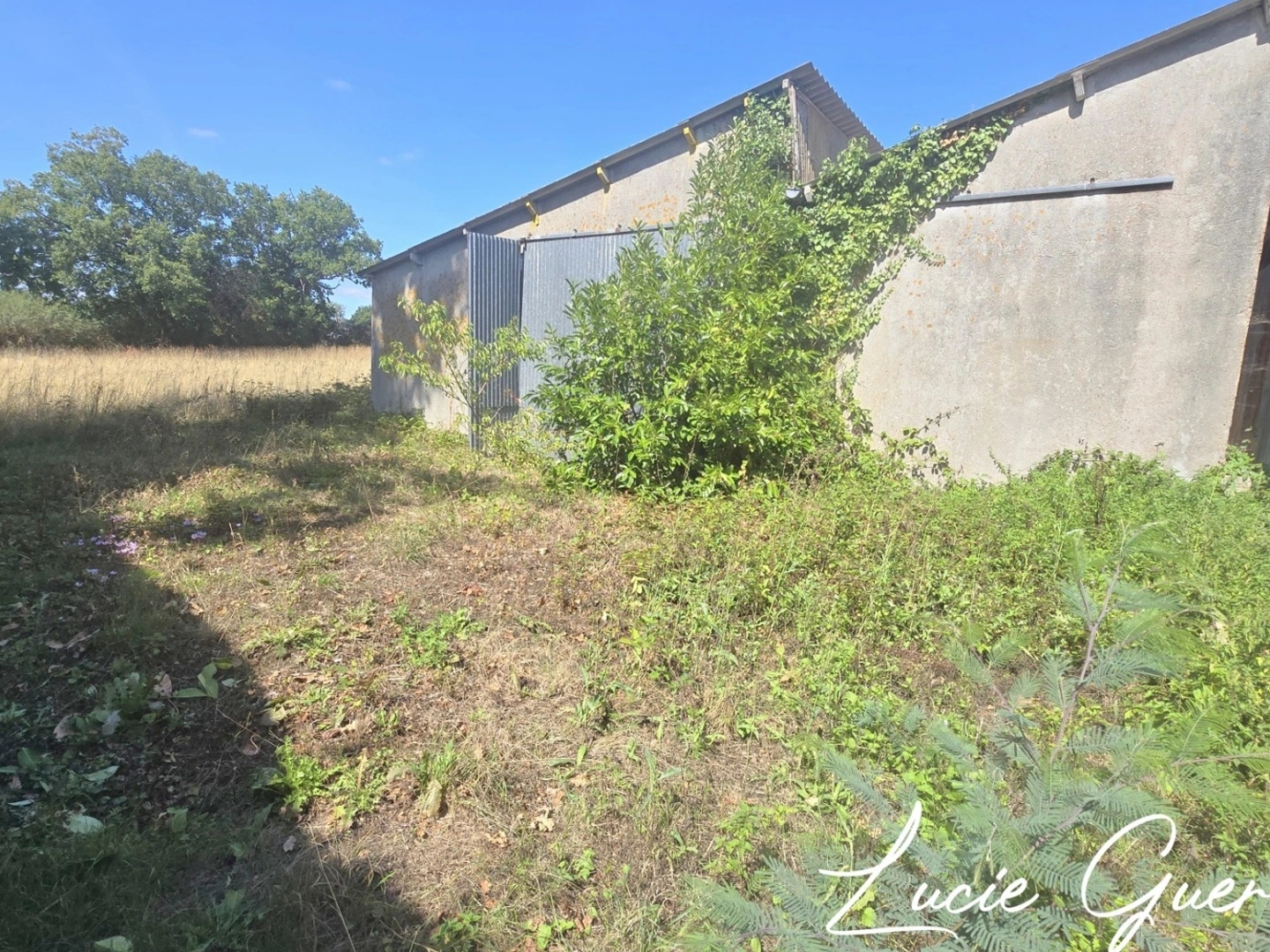 Magasin à vendre - 1 pièce - 703m2 - Martigné-Ferchaud (35640)