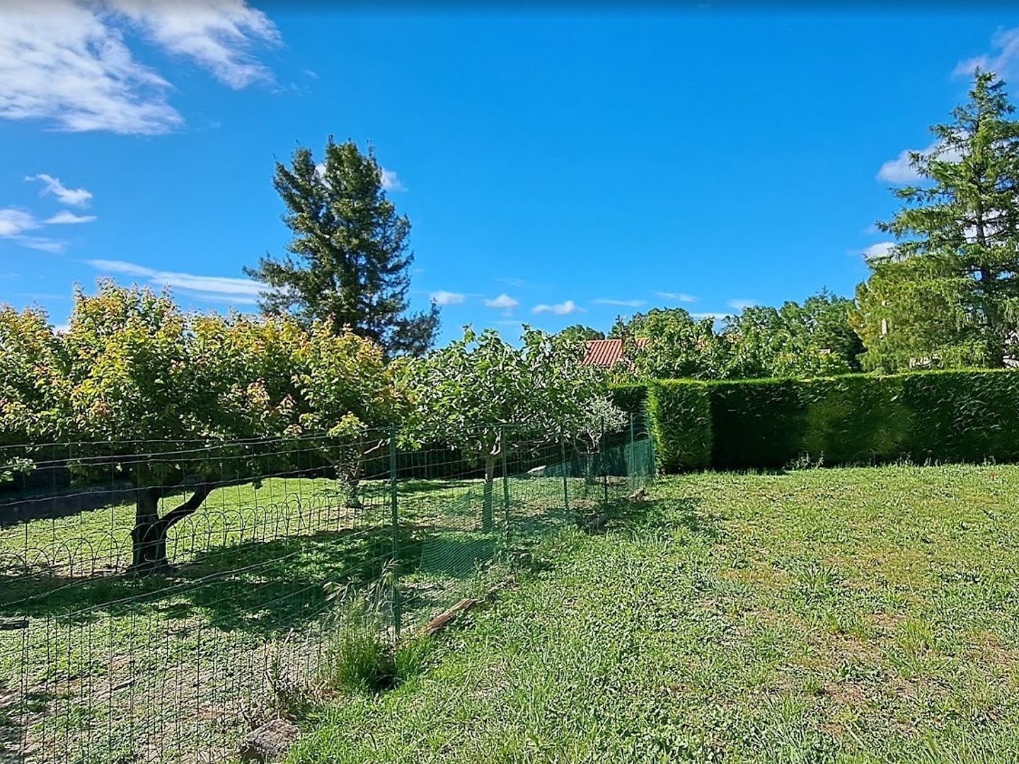 Terrain à vendre - 658m2 - Pernes-Les-Fontaines (84210)