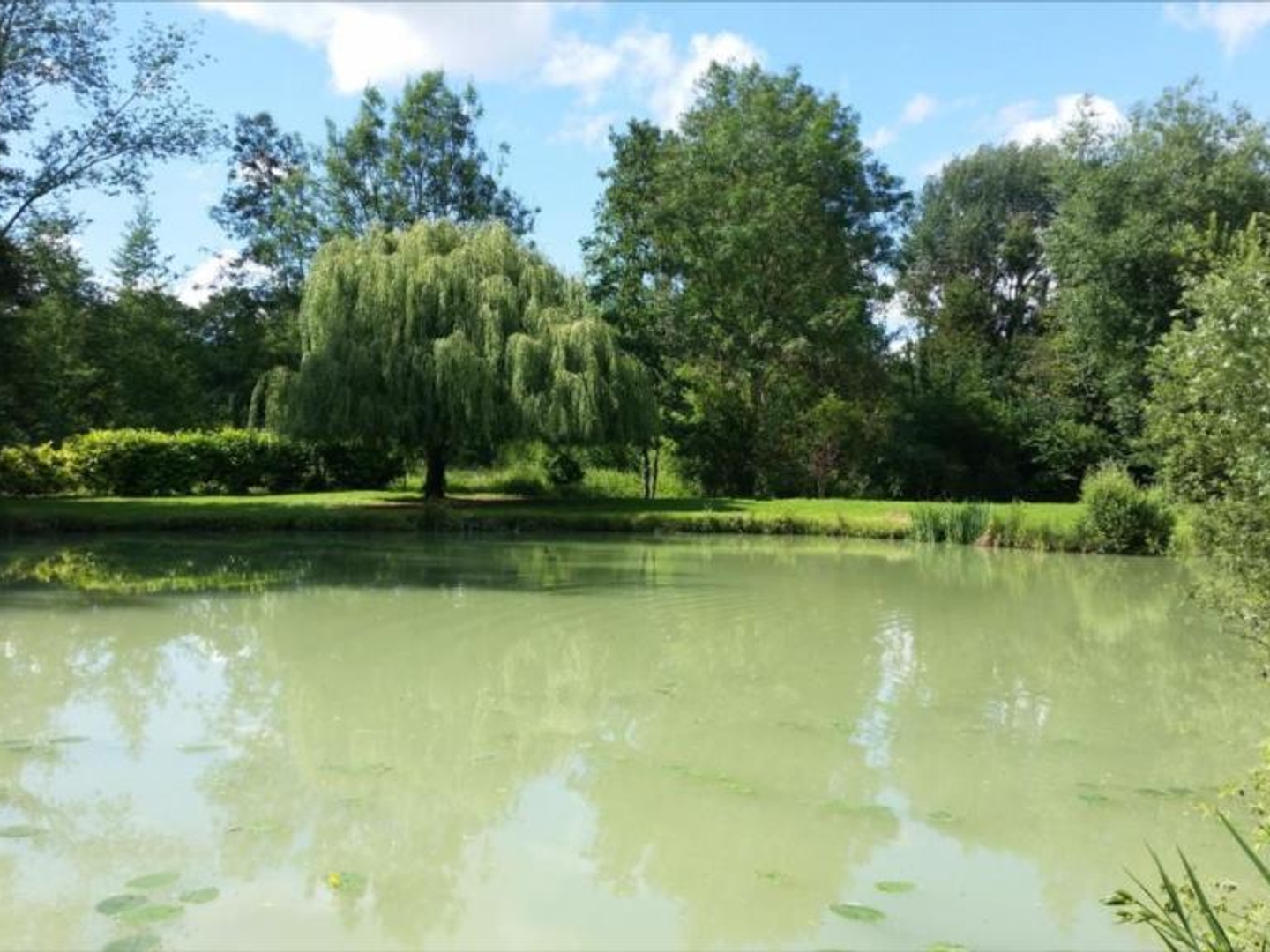 Bien agricole 15109 m²