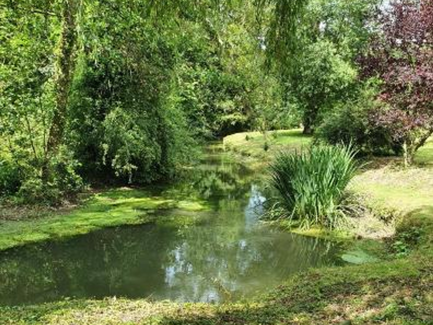 Terrain à vendre - 15109m2 - Ennemain (80200)