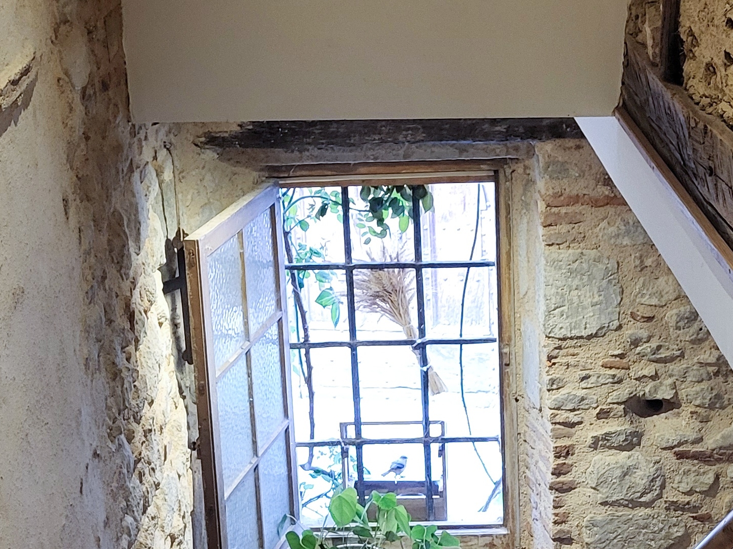 Immeuble à vendre - 6 pièces - 188m2 - Lautrec (81440)