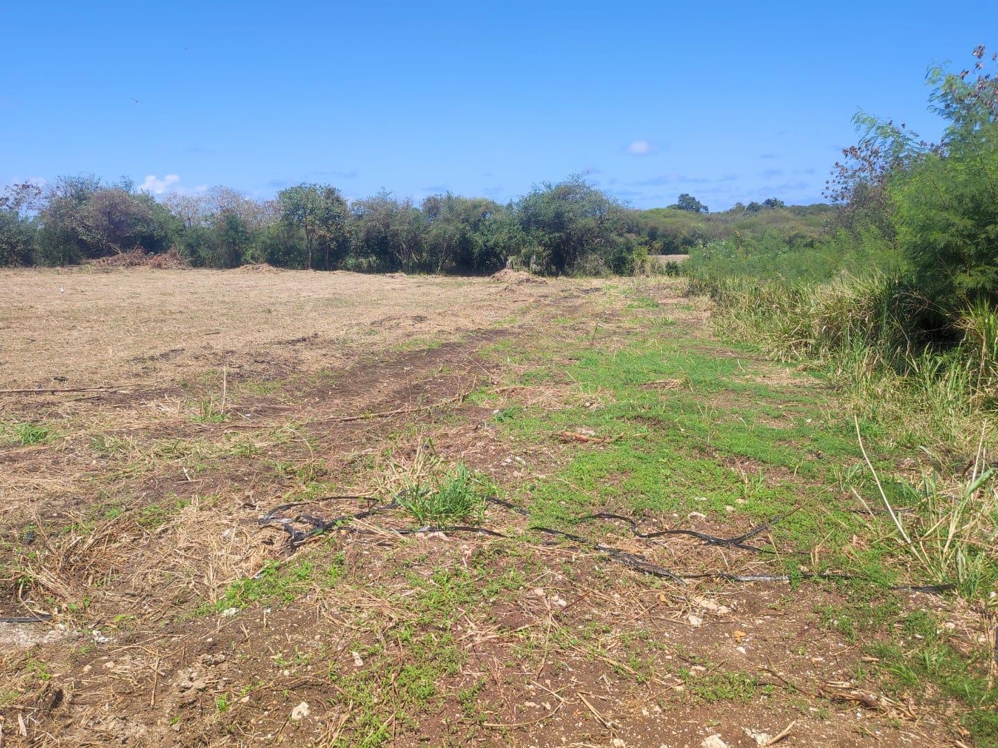Terrain constructible 2154 m²