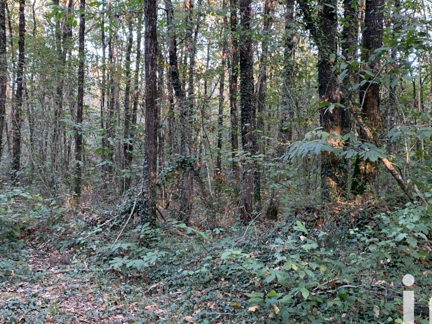 Terrain 7280 m²